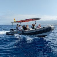 Private Sightseeing Tours