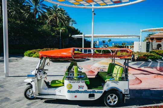 Double Tuk Tuk Tour in Costa Adeje