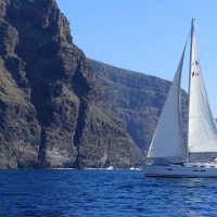 Boat Tours