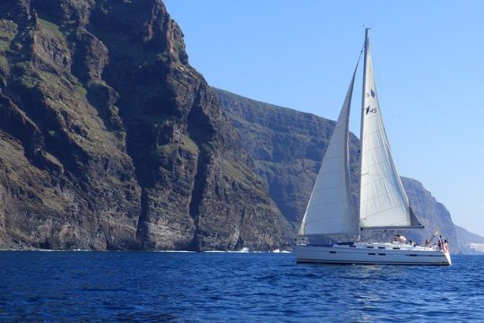 Los Gigantes Whale Watching Charter by Sail Boat