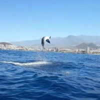 Water Sports