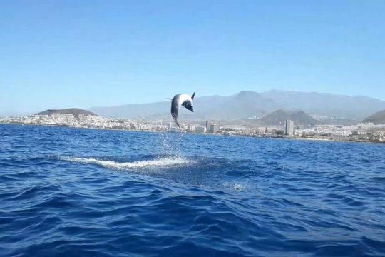 Tenerife by Kayak and Snorkeling Adventure