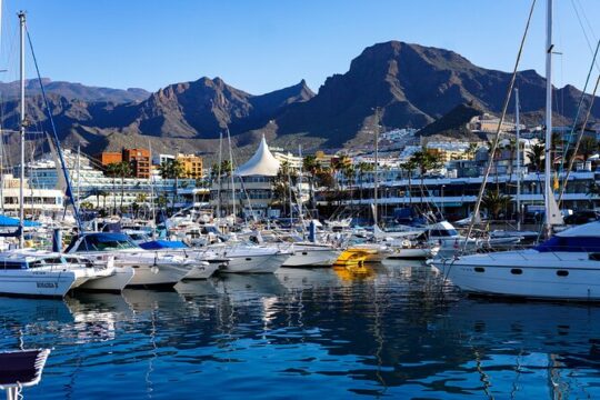 Views & Drinks Tour by Tuk Tuk in Costa Adeje