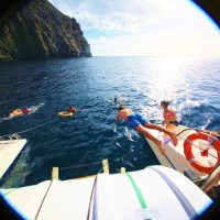 Boat Tours