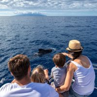 Cruises, Sailing & Water Tours