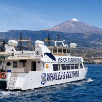 Cruises, Sailing & Water Tours