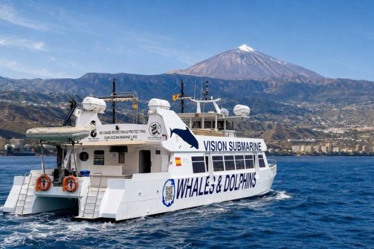 New Year’s Day long weekend in Tenerife