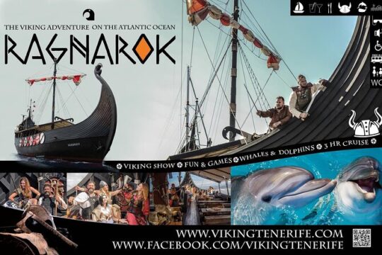2h Viking Cruise Whales and Dolphins Watching