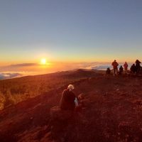 Walking & Biking Tours