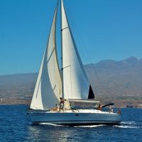Boat Tours