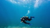 An Unforgettable First Dive: A Journey into the Ocean with Atlantic Eco Experience