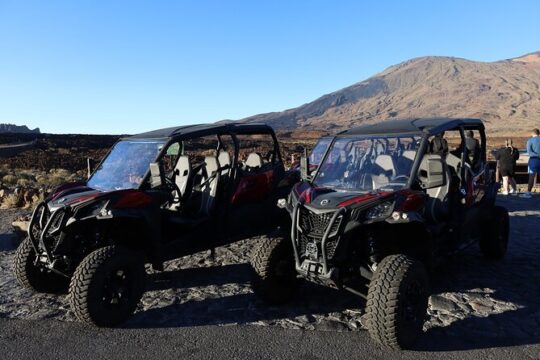 Half Day Family Buggy Teide Nacional Park Morning or Sunset