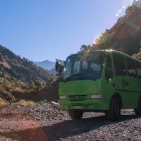 Bus Services