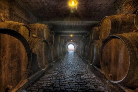 Tenerife Bodegas Monje Winery Tour with Wine and Cheese Tasting