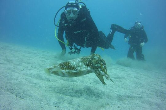 2x diving package, on request including refreshment