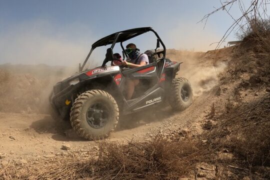 BUGGY TOUR VOLCANO TEIDE with wine degustation