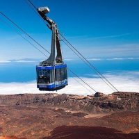 Trolley Tours