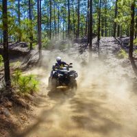 Holiday & Seasonal Tours