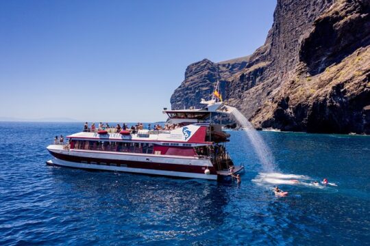 Royal Delfin - 4'5H Dolphin & Whale Watching - Los Gigantes Masca - Lunch & Swim