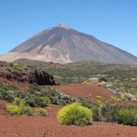 Cultural & Theme Tours