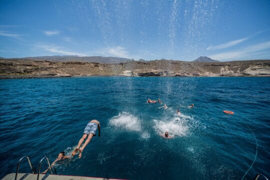 3H Catamaran Dolphin & Whale Watching! Drinks, swimming & Lunch