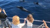 Incredible excursion