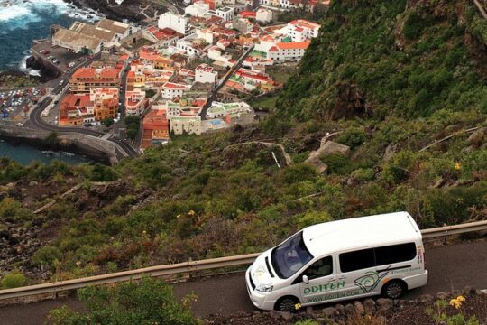 Get to know the Teide National Park and the north of Tenerife on a private tour