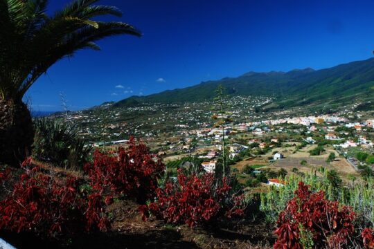 Special cruise tour Center and South La Palma (Price per car not per person)