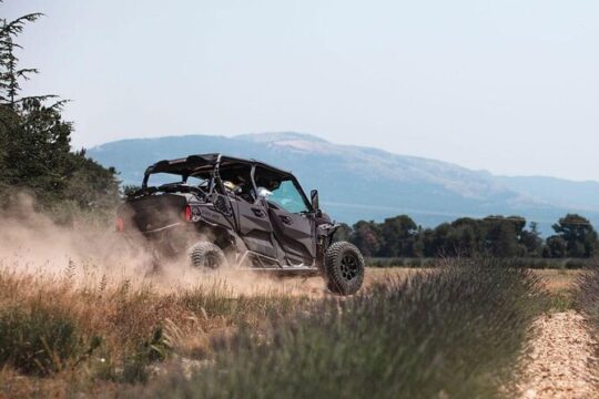 Guided Buggy Tour through Teide National Park