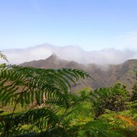 Walking & Biking Tours