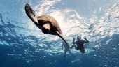 Beautiful marine excursion