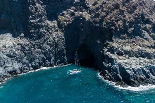 Tenerife Whale Watching and Snorkeling Private Yacht trip