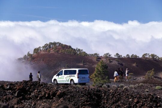 Get to know the Teide National Park and the south of Tenerife on a private tour