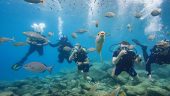 Scubaaaaa