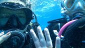 Superb welcome and very beautiful diving site