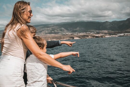 3-hour catamaran excursion along the Costa Adeje
