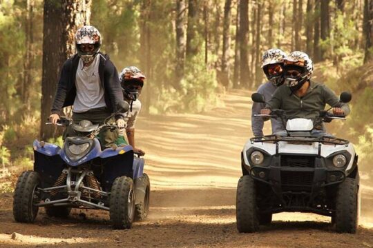 Pure Off Road Quad Trip in South Tenerife