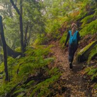 Hiking & Camping