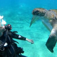 Scuba Diving