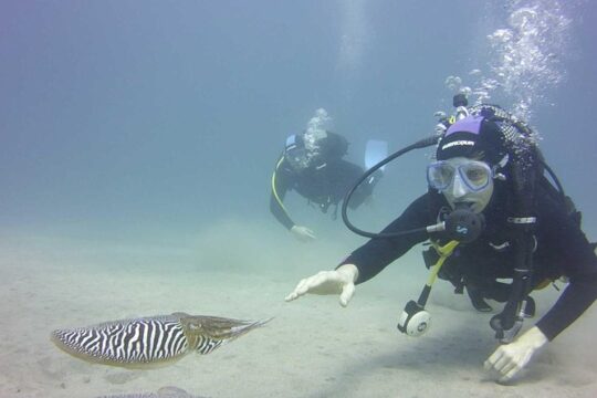 PADI Open Water Diver Course