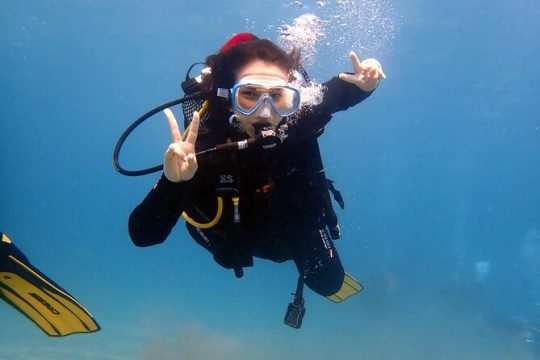 Discover Scuba Diving, Tenerife. Photos and videos included