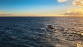 Our Ocean Blue family charter was an thrilling and super enjoyable experience