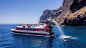 A Tenerife must do
