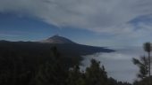 Excellent tour of Tenerife 