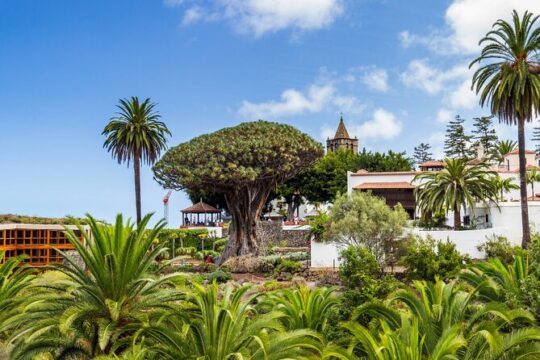 Private Excursion to Masca, Garachico, Icod in Tenerife
