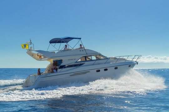Whales and Dolphins excursion on a Luxury Yacht in Canary Islands