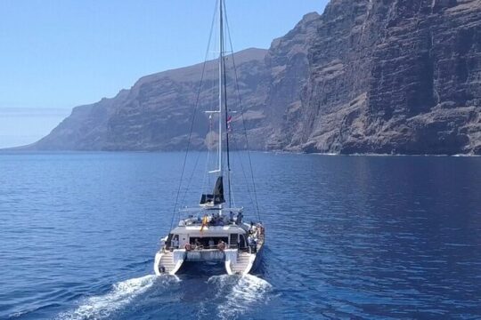 Whale Watching Catamaran to Los Gigantes & Masca (Including drinks & warm lunch)