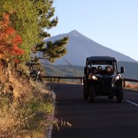 Archaeology Tours