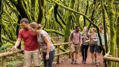 A fantastic trip