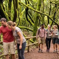Historical & Heritage Tours